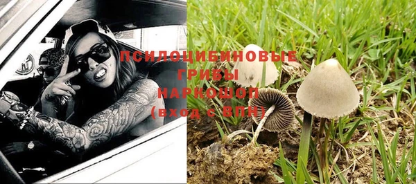 эйфоретик Алексин