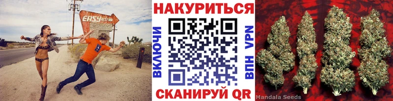 купить наркотик  Сосновый Бор  MEGA ONION  Каннабис OG Kush 